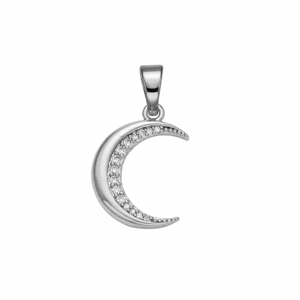 Dainty Moon Charm